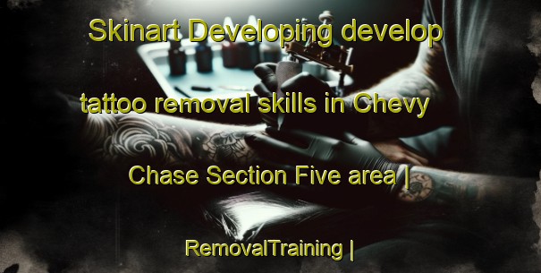 Skinart Developing develop tattoo removal skills in Chevy Chase Section Five area | RemovalTraining | RemovalClasses | SkinartTraining-United States